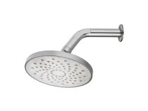 NIETZ Shower Head with Shower Arm (1 Function)