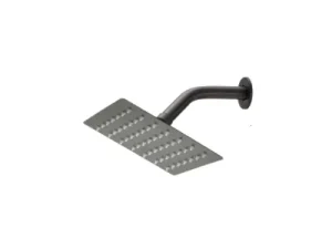 NIETZ Shower Head with Shower Arm (1 Function)