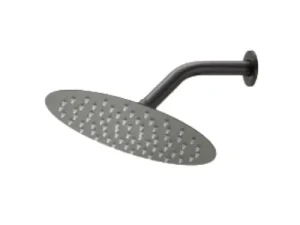 NIETZ Shower Head with Shower Arm (1 Function)