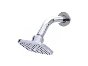 NIETZ Shower Head with Shower Arm (1 Function)