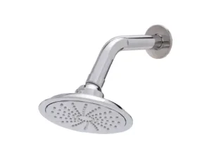 NIETZ Shower Head with Shower Arm (1 Function)